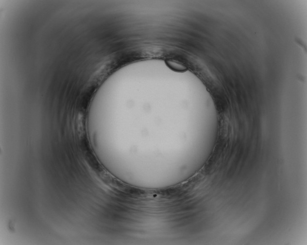 X0000097820598200803140807