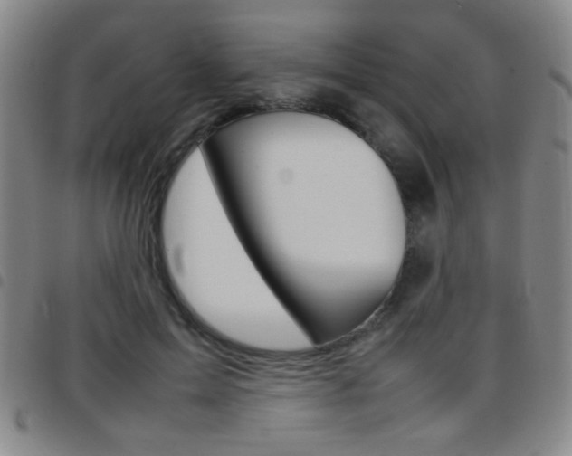 X0000097820599200803140807