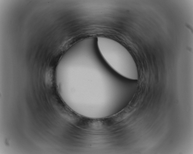 X0000097820600200803140807