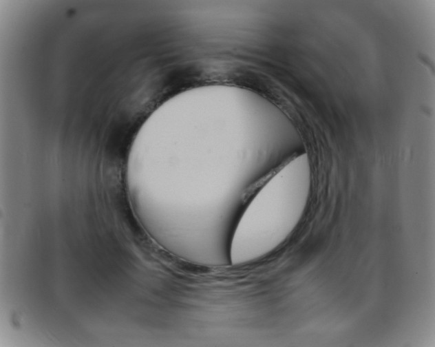 X0000097820603200803140807
