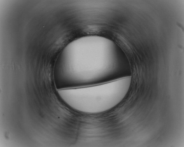X0000097820604200803140807