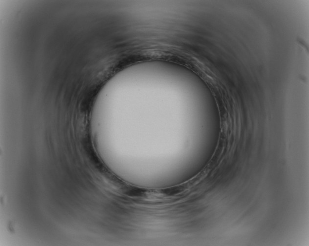 X0000097820605200803140807