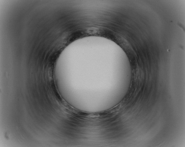 X0000097820606200803140807