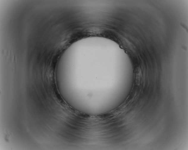 X0000097820608200803140807
