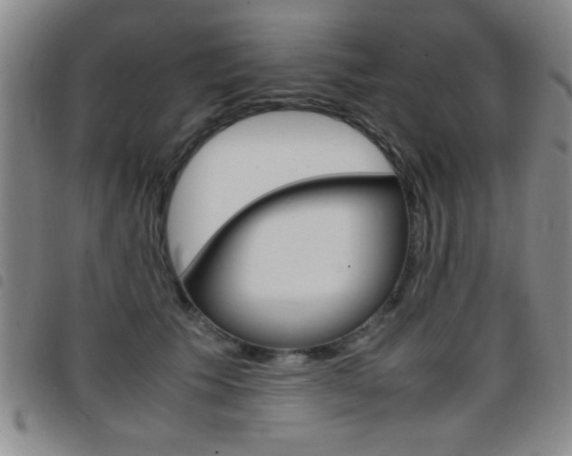 X0000097820609200803140807