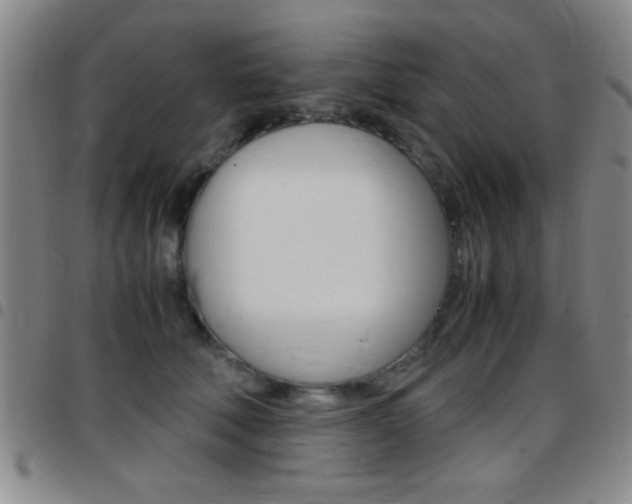X0000097820610200803140807