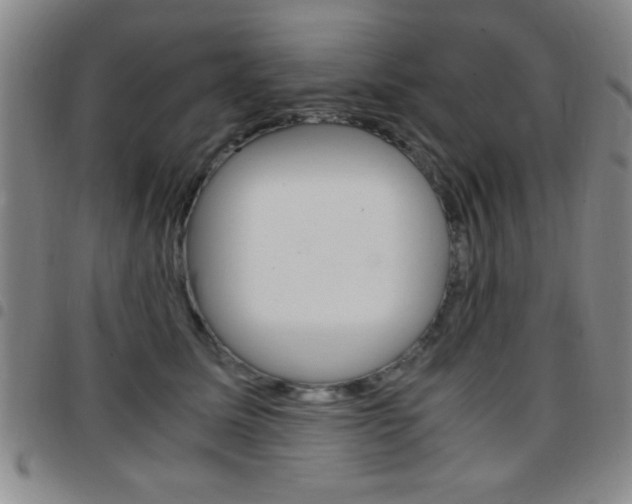 X0000097820611200803140807