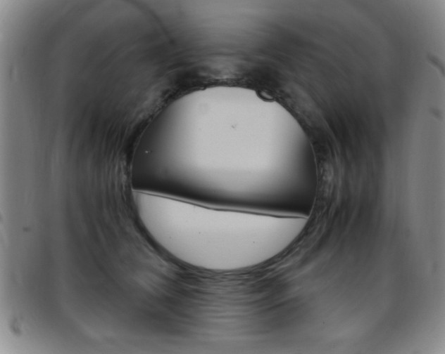 X0000097820612200803140807