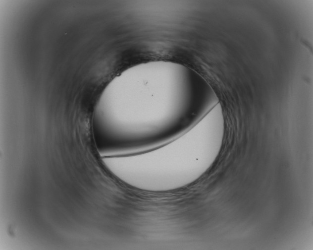 X0000097820613200803140807