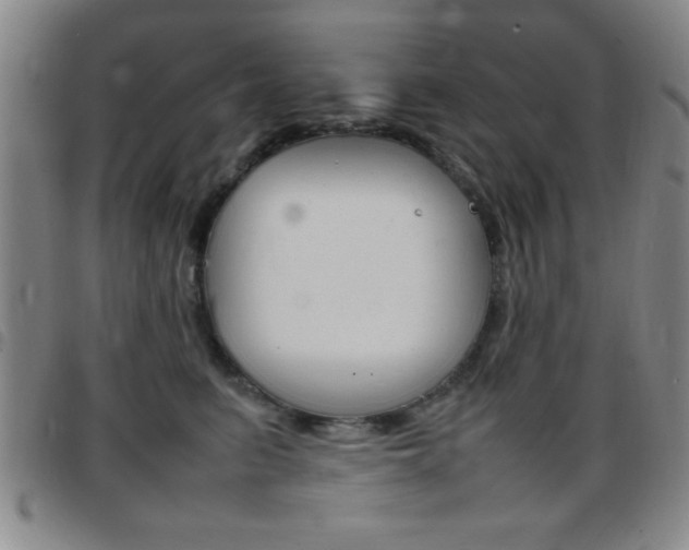 X0000097820615200803140807