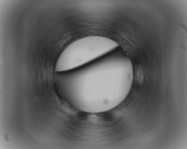 X0000097820616200803140807
