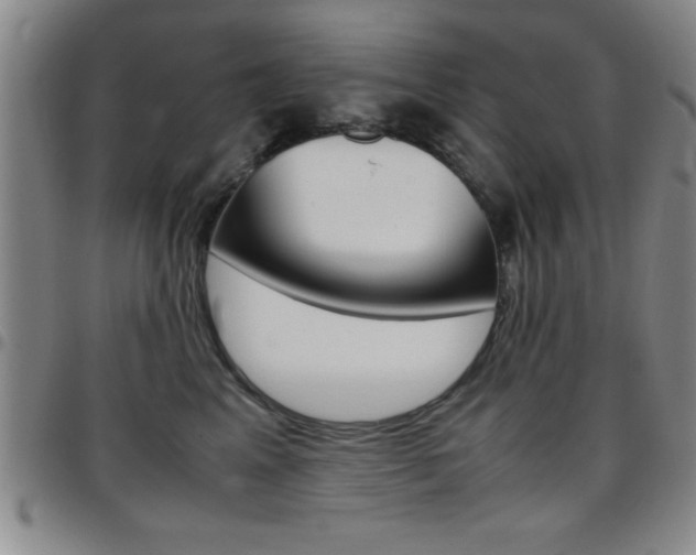 X0000097820617200803140807