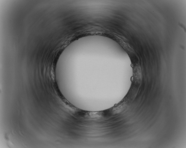 X0000097820622200803140807