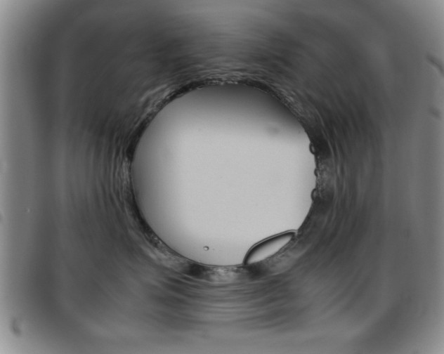 X0000097820623200803140807