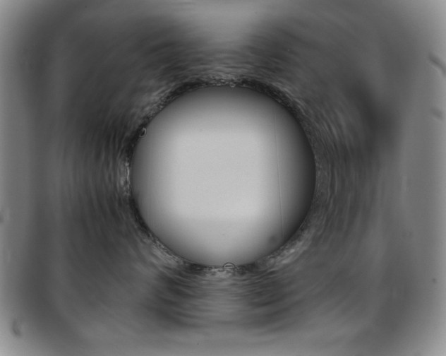 X0000097820624200803140807