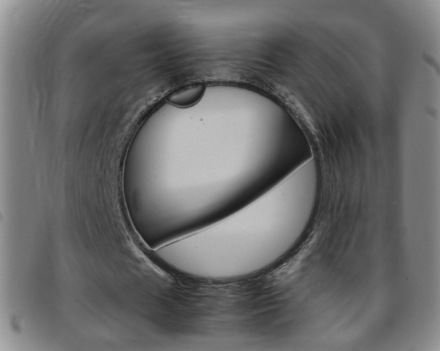 X0000097820625200803140806