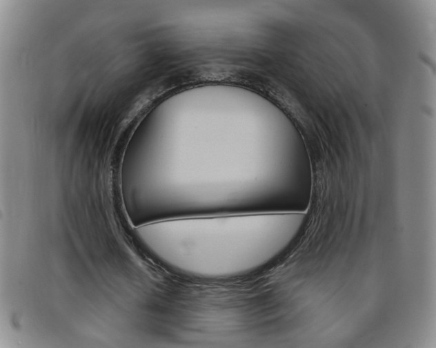 X0000097820626200803140806