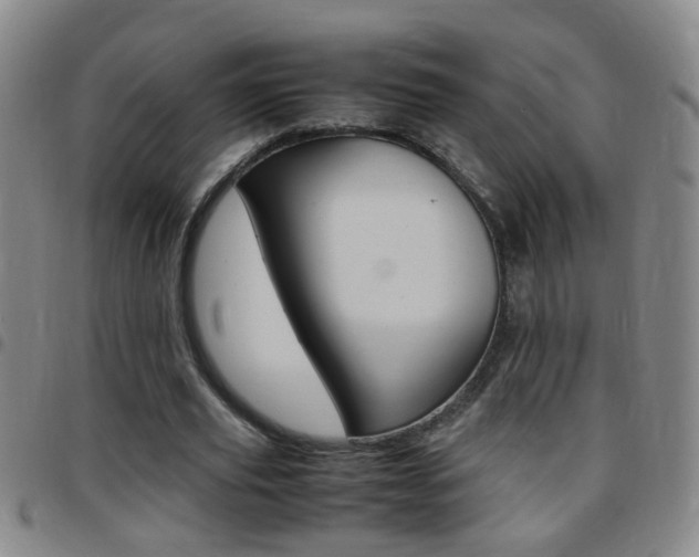 X0000097820629200803140806