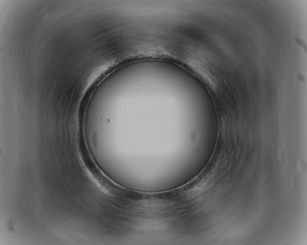 X0000097820630200803140806