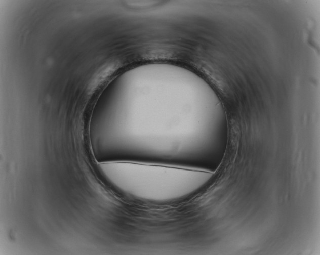 X0000097820631200803140806