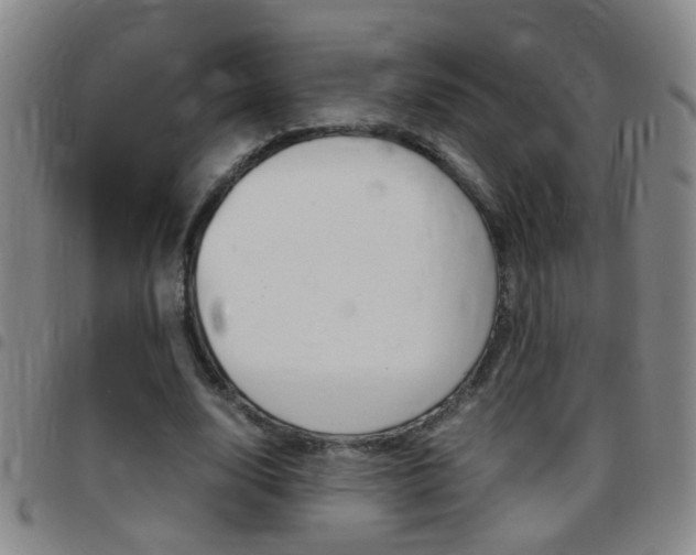 X0000097820632200803140806