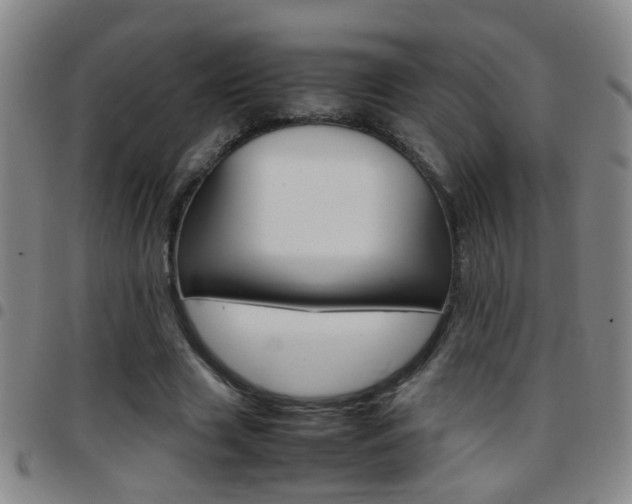 X0000097820633200803140806
