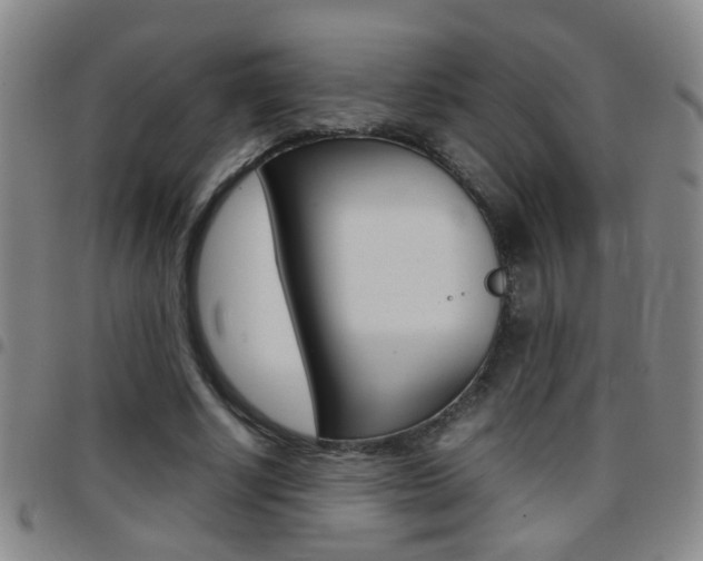 X0000097820634200803140806