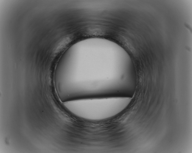 X0000097820635200803140806