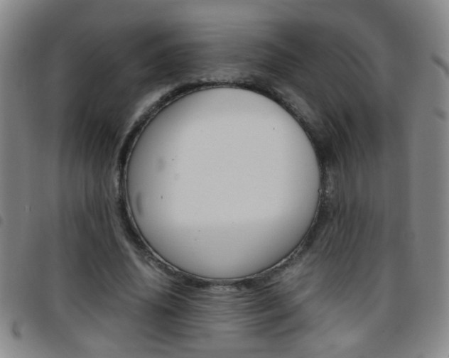 X0000097820636200803140806