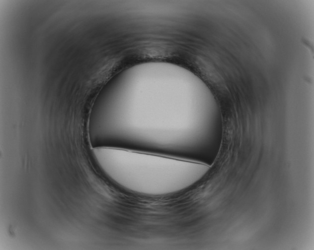 X0000097820639200803140806