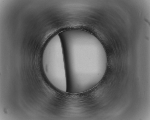 X0000097820640200803140806
