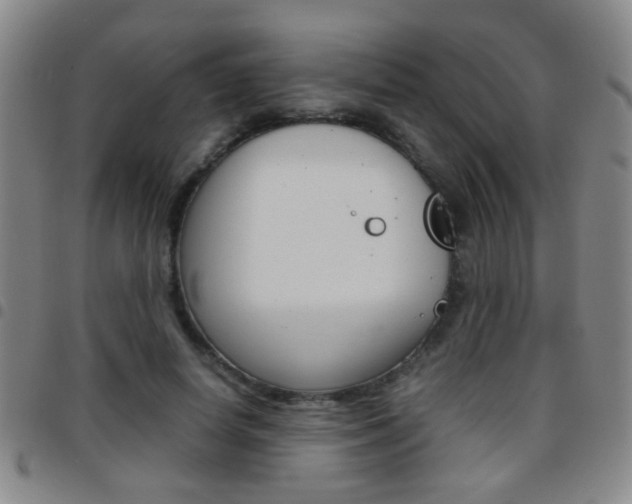 X0000097820642200803140806