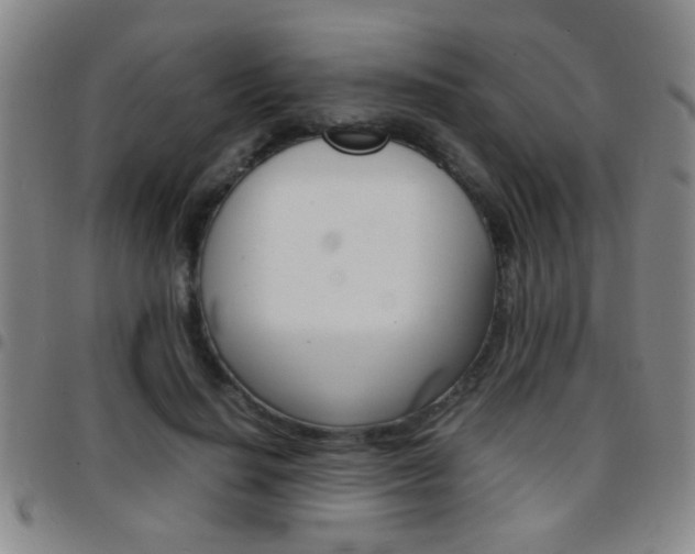 X0000097820644200803140806