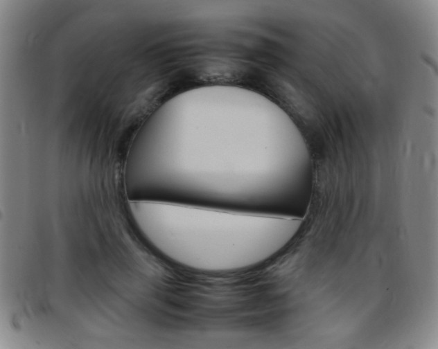 X0000097820645200803140806
