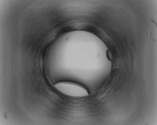 X0000097820646200803140806