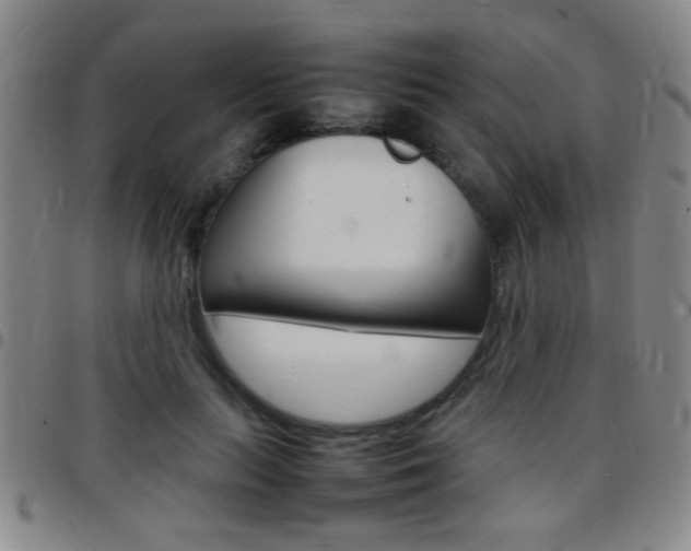 X0000097820647200803140806