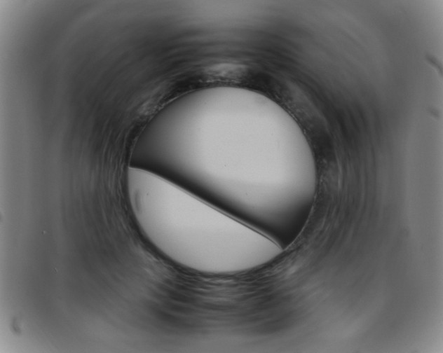 X0000097820649200803140806