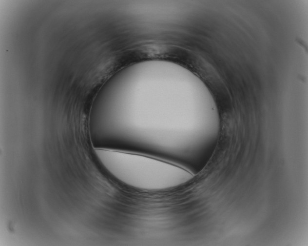 X0000097820650200803140807