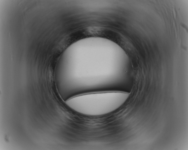 X0000097820651200803140807