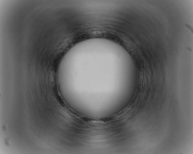 X0000097820654200803140807