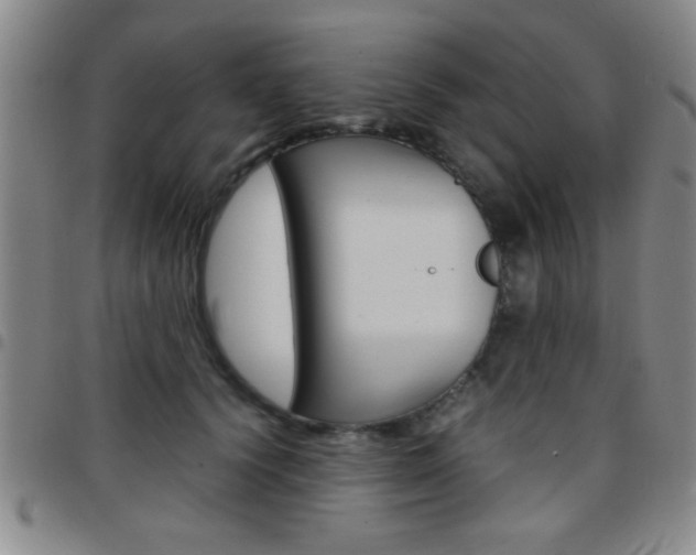 X0000097820656200803140807