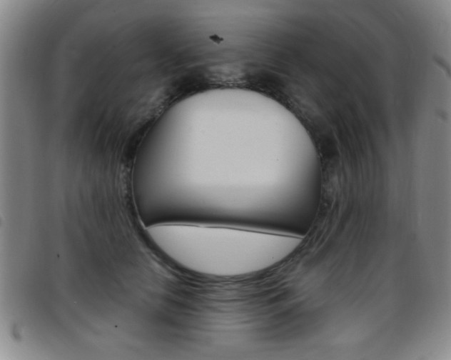 X0000097820658200803140807