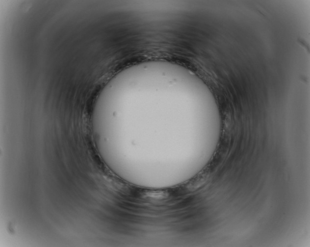 X0000097820659200803140807