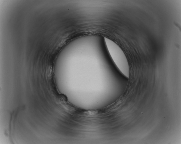 X0000097820660200803140807