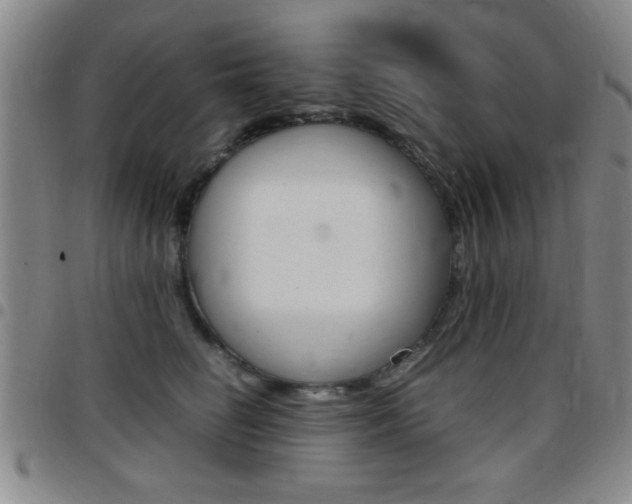 X0000097820662200803140807