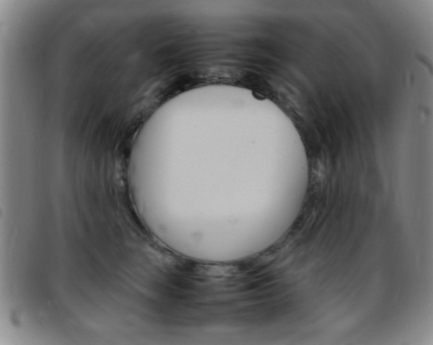 X0000097820663200803140807