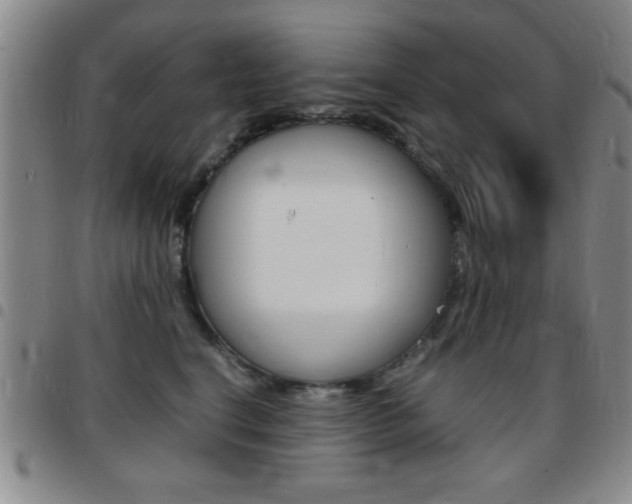 X0000097820664200803140807