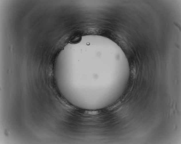 X0000097820665200803140807