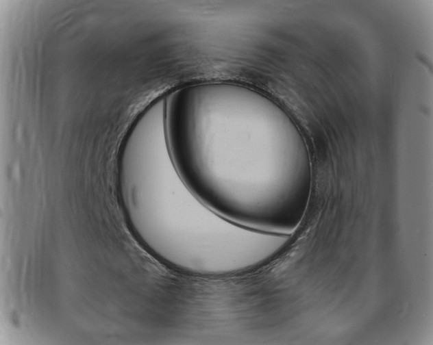 X0000097820673200803140806