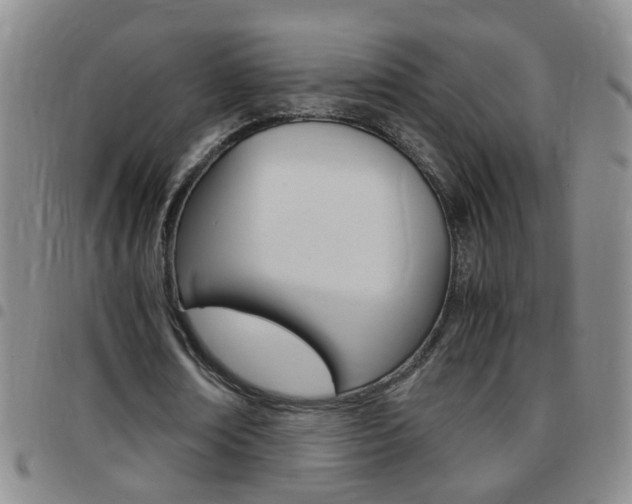 X0000097820674200803140806